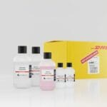 gold solutions package 2.jpg